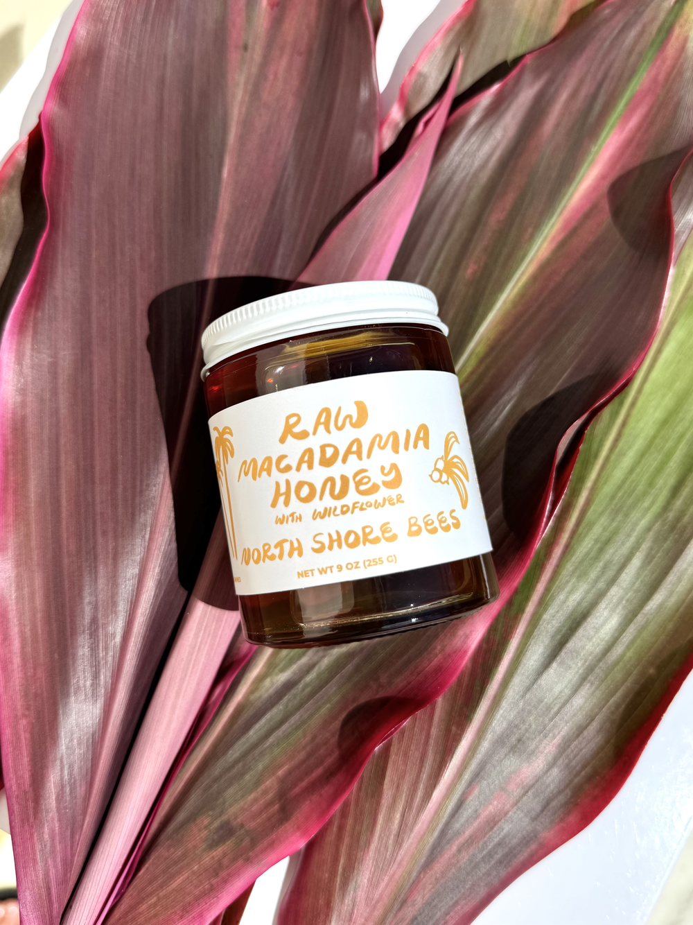 Raw Hawaiian Macadamia Honey — North Shore Bees